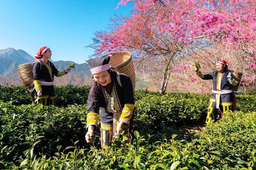 Chuyên gia: Biến đổi khí hậu ở Việt Nam không chỉ là câu chuyện riêng của Sa Pa