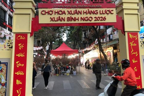 Sắc xuân rộn ràng, Chợ hoa Xuân Phố cổ 2026 hút người dân và du khách