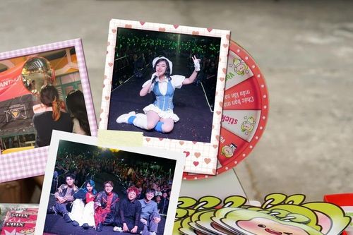 TP.HCM: Netizen trầm trồ trước dàn nghệ sĩ 'khủng' đổ bộ hội Xuân các trường THPT