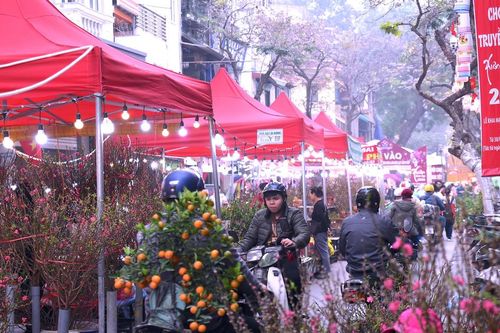 Điểm hẹn mùa xuân giữa lòng Hà Nội