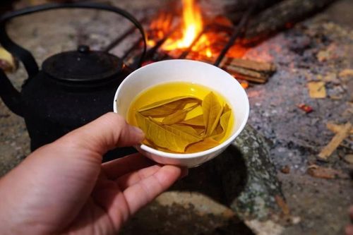 Chén chè xanh, Tết ngọt lành