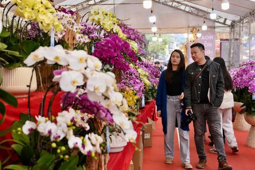 Ngày xuân khám phá chợ hoa lâu đời nhất Hà thành
