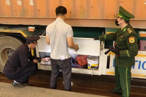 Quảng Trị: Ngăn chặn hàng lậu qua biên giới dịp giáp Tết