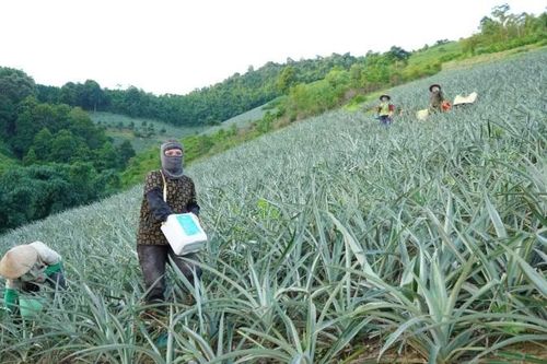 Xã biên giới Mường Khương đẩy mạnh phát triển kinh tế, giữ vững an ninh quốc phòng
