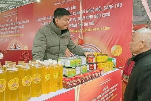 Hà Nội triển lãm hàng thủ công mỹ nghệ và hoa giấy phục vụ Tết
