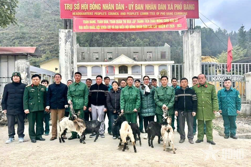 Xuân ấm hậu phương, vững bước người lính trẻ