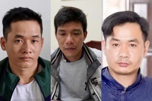 Xóa đường dây trộm chó liên tỉnh