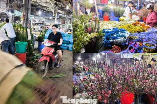 Chợ hoa tươi Đầm Sen sáng đèn xuyên đêm, tấp nập những ngày giáp Tết Bính Ngọ