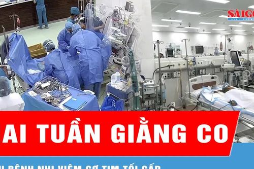 Hai tuần giằng co cứu bé trai bị ngưng tim đột ngột