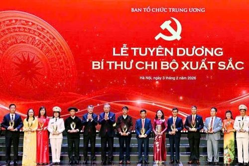 Cô giáo mầm non ở An Giang được tuyên dương Bí thư Chi bộ xuất sắc toàn quốc
