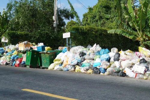 Cà Mau: Thêm công ty muốn dừng gom rác 3 ngày Tết, địa phương không chấp thuận