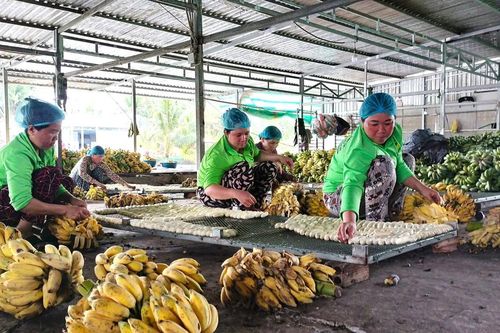 Cảnh tất bật cận Tết ở làng nghề ép chuối khô trăm tuổi