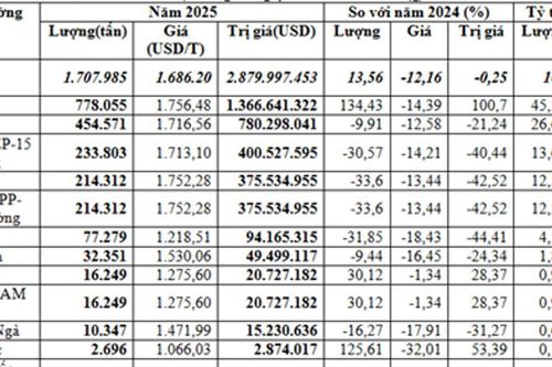 Việt Nam nhập khẩu 1,71 triệu tấn bông năm 2025, Hoa Kỳ dẫn đầu nguồn cung
