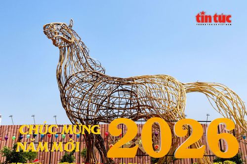 TP Hồ Chí Minh: Ngựa khổng lồ cao 8 mét xuất hiện trên khu 'đất vàng' đường Trần Phú