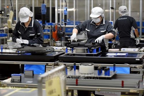 Nhật Bản: Số vụ doanh nghiệp phá sản cao nhất 13 năm