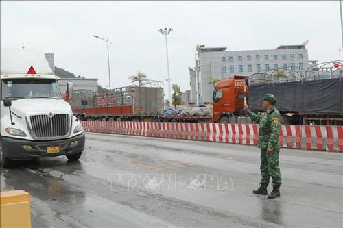 Điểm tin kinh tế Việt Nam nổi bật ngày 9/2/2026