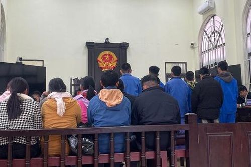 Bài học đắt giá của những bị cáo tuổi 'ăn chưa no, lo chưa tới'