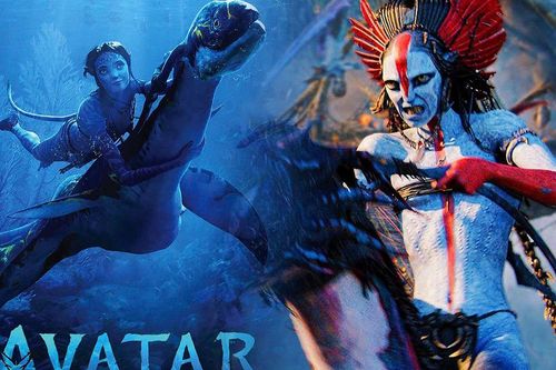 Avatar 3 soán ngôi Avatar 2, trở thành phim nước ngoài có doanh thu cao nhất mọi thời đại tại Việt Nam