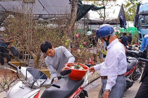 Đà Nẵng: Chợ hoa xuân rộn ràng đón khách