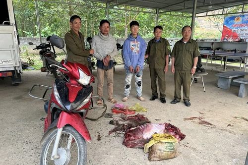 Hai đối tượng trộm trâu của người dân khi cột trên đồi
