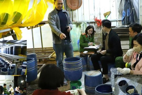 Ninh Bình: Triệt phá cơ sở dùng chất cấm 'nước kẹo' sản xuất giá đỗ