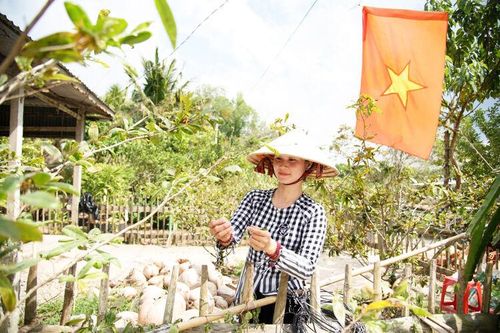 Mai vàng ngày giáp Tết