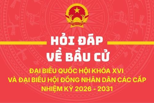 Xử lý hành vi vi phạm pháp luật về bầu cử như thế nào?
