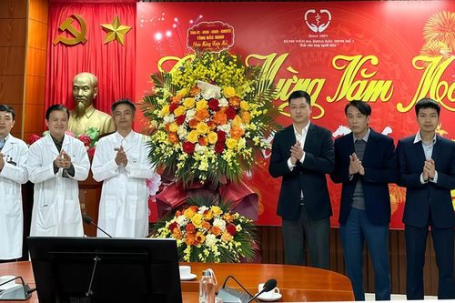 Phó Bí thư Tỉnh ủy Trần Huy Phương chúc Tết các bệnh viện