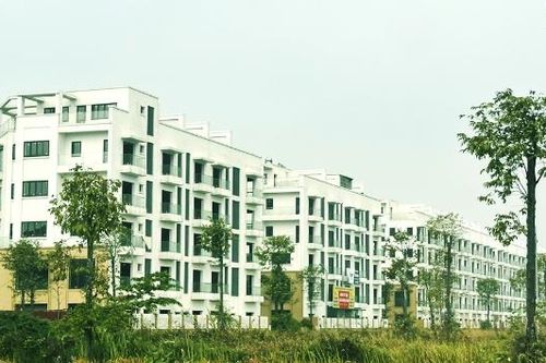 Bắc Ninh giao chủ đầu tư Dự án đầu tư xây dựng Khu nhà ở xã hội tại xã Đại Đồng