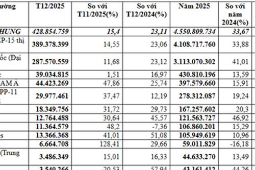 Kim ngạch nhập khẩu dây và cáp điện năm 2025 đạt 4,55 tỷ USD, tăng 33,7%