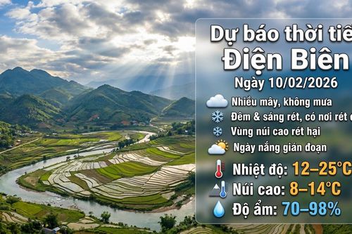 Bản tin Dự báo thời tiết ngày 10/2/2026