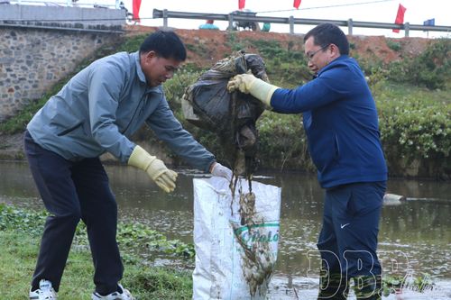 Xây dựng nếp sống xanh