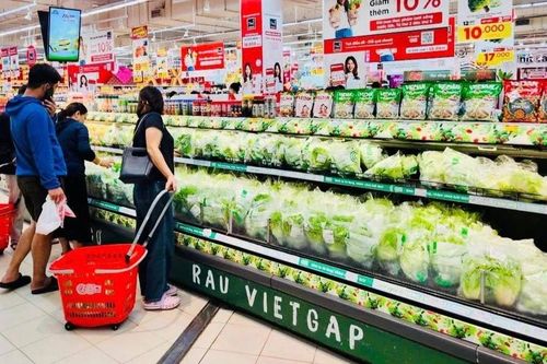 Rau củ được mùa nhưng rớt giá sâu