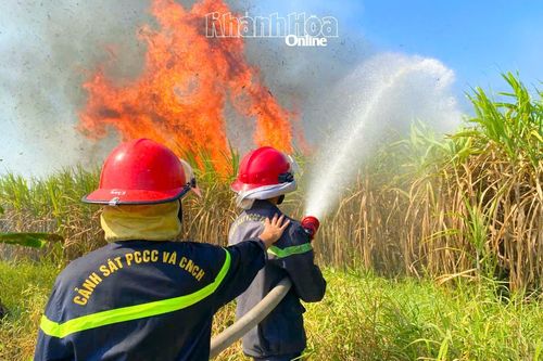 Cháy rẫy mía tại xã Ninh Sơn