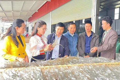 Giữ gìn và phát triển nghề truyền thống
