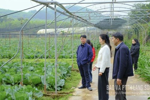 Để tết an toàn, trọn vị