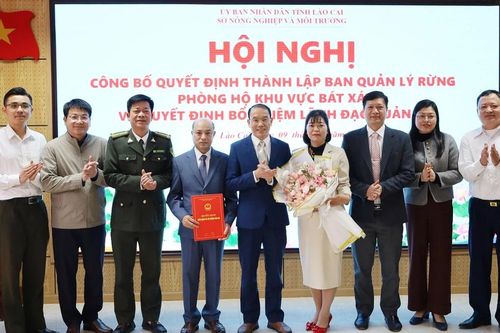 Thành lập Ban Quản lý rừng phòng hộ khu vực Bát Xát