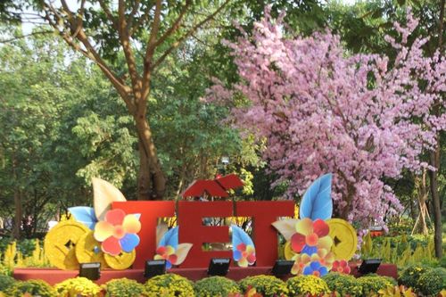 TP.HCM: Khám phá 'điểm xanh' mới giữa trung tâm Quận 3 dịp Tết Bính Ngọ 2026