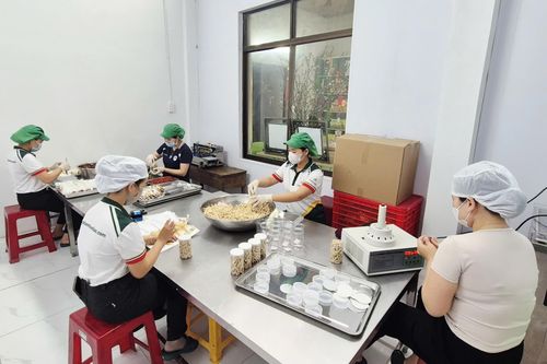 Hàng Việt khẳng định chỗ đứng trên thị trường Tết