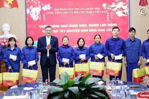 Đoàn công tác Hội đồng Dân tộc của Quốc hội thăm, chúc Tết, tặng quà đoàn viên, người lao động