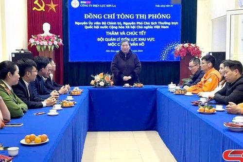 Đồng chí Tòng Thị Phóng thăm, chúc Tết Đội quản lý Điện lực khu vực Mộc Châu - Vân Hồ