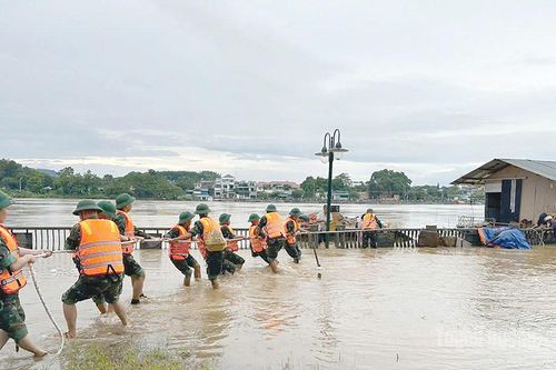 Thích ứng để vượt qua