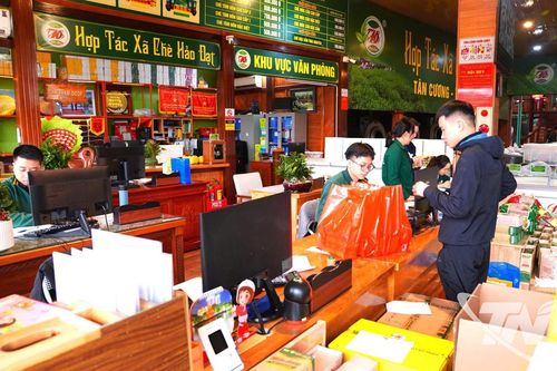 Chè Thái Nguyên được giá từ chất lượng