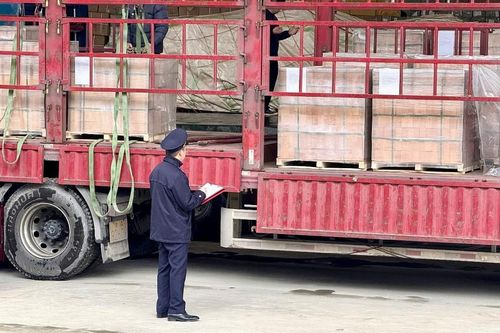 Hải quan được chủ động tạm dừng thông quan đối với hàng hóa có dấu hiệu giả mạo