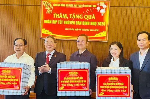 Phó Chủ tịch Quốc hội Nguyễn Đức Hải thăm, chúc Tết tại Đà Nẵng