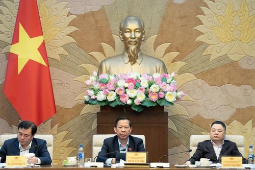 Chính sách phải 'đúng, đủ và phù hợp' với quản lý thương mại và cạnh tranh