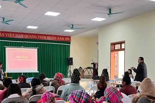 Sơn La: Trung tâm Dịch vụ việc làm tổ chức Hội nghị tư vấn, giới thiệu việc làm