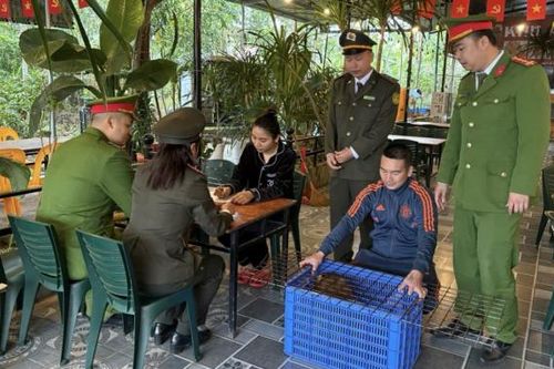 Kiểm soát vi phạm pháp luật liên quan đến động vật hoang dã