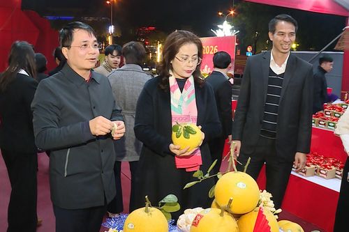 Không gian phục vụ Tết 'Xuân đoàn kết' tại xã Quang Minh