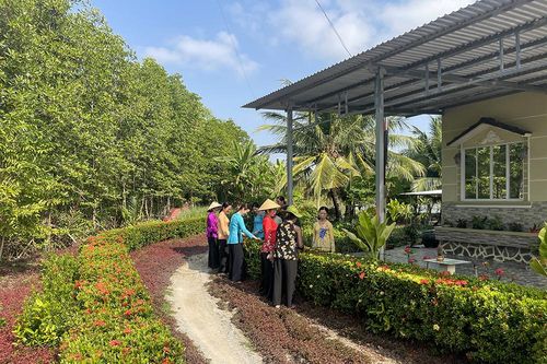 Xuân về trên những tuyến đường quê